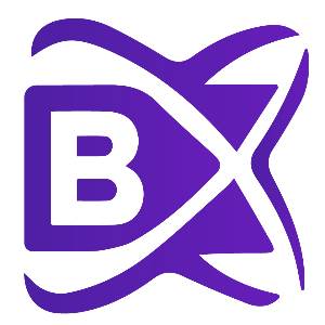BlockchainX BlockchainX